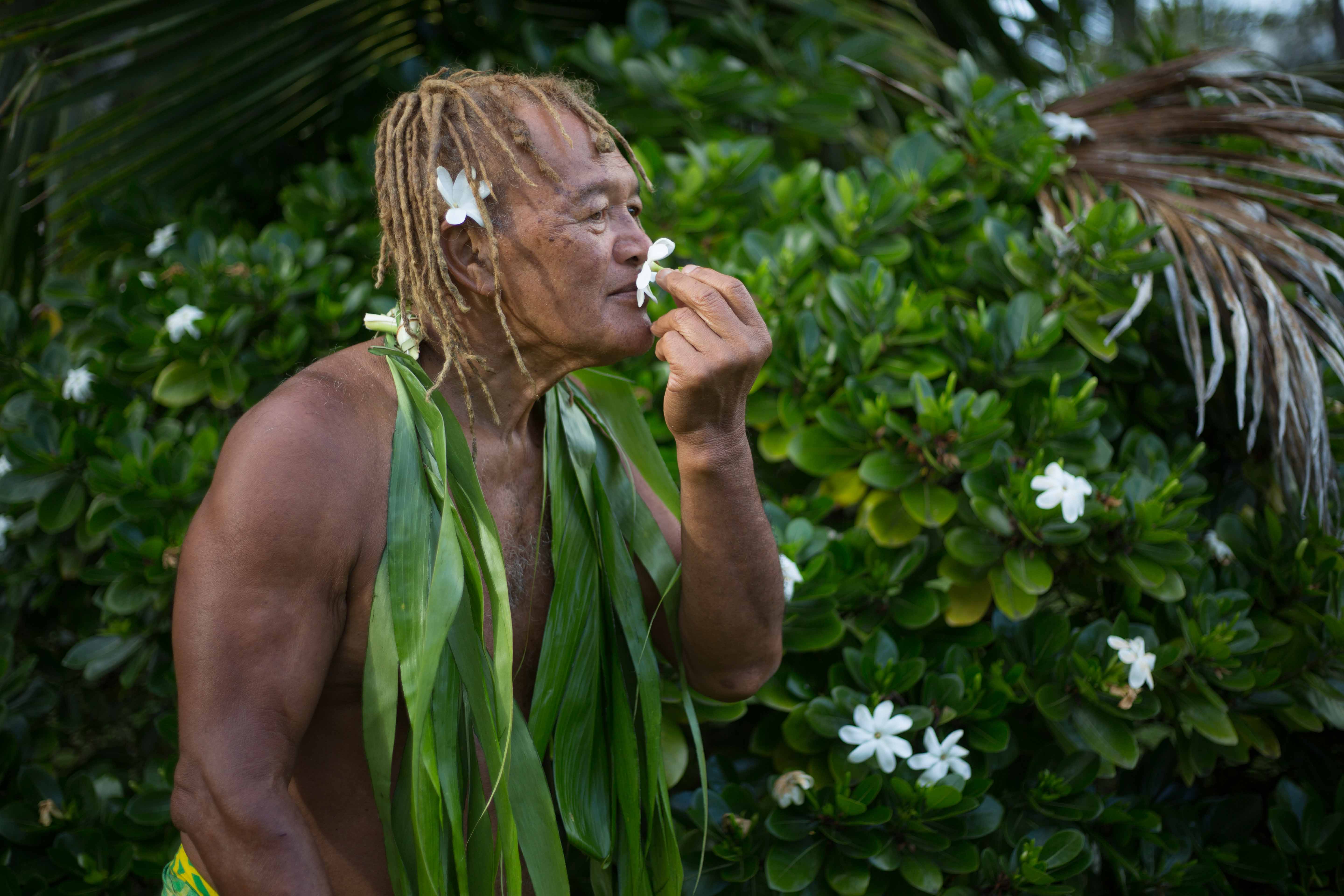 Tiare maori: beloved flower of the Cook Islands