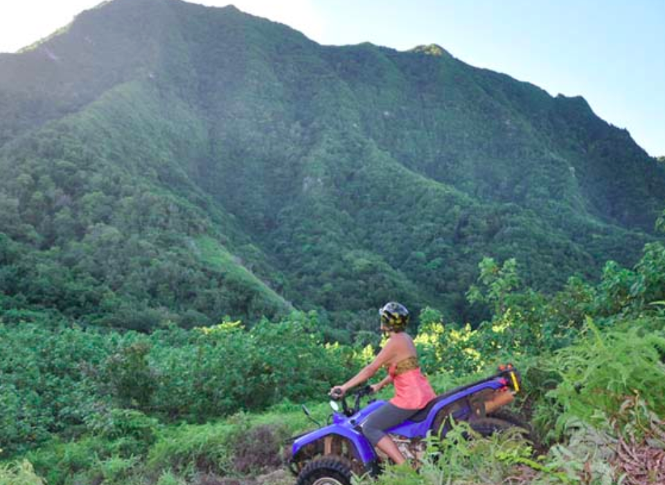 Coconut-Quad-Tours