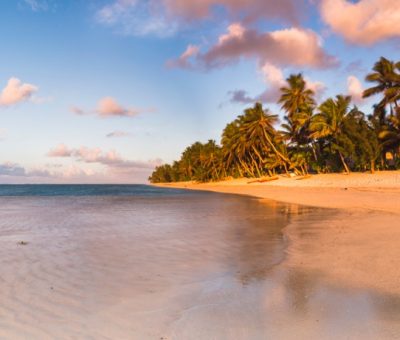 2.Tropical-beach-with-palm-trees-at-sunrise-Rarotonga-Cook-Islands 1